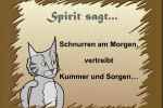 Spirit schnurrt...:D